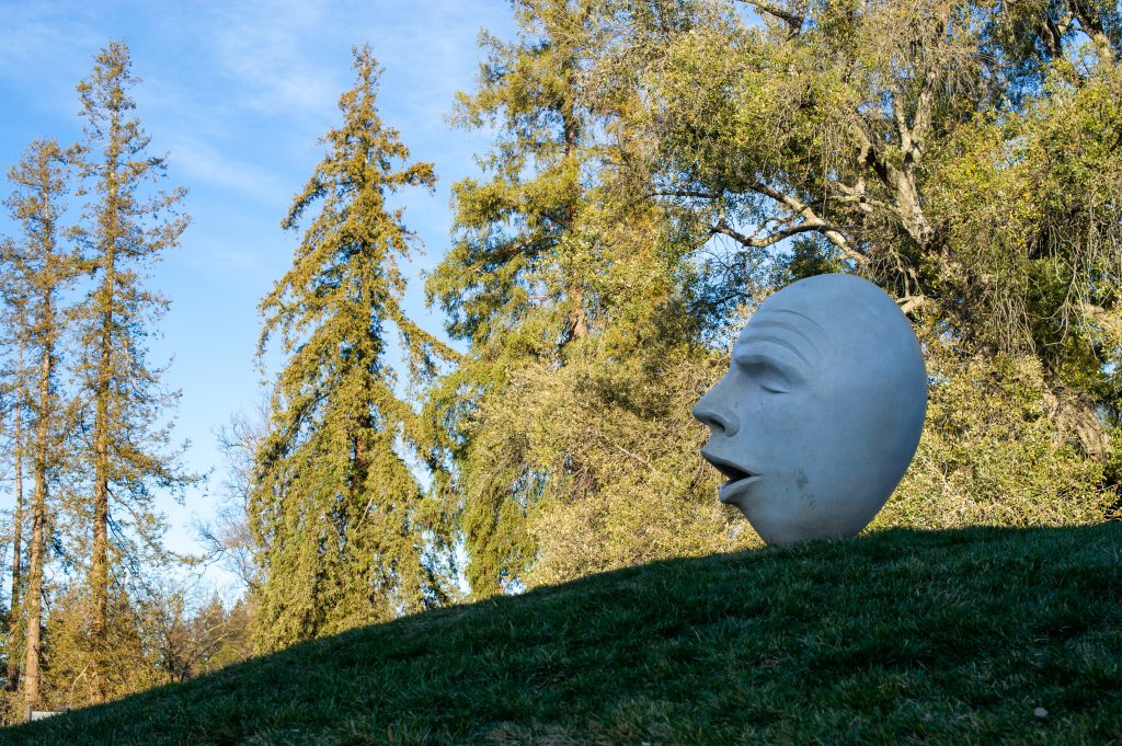 Egg Heads at UC Davis