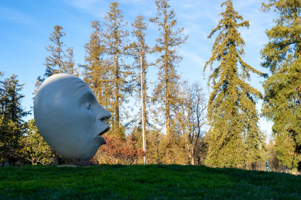 Egg Heads at UC Davis